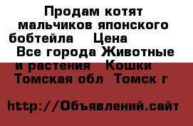 Продам котят мальчиков японского бобтейла. › Цена ­ 30 000 - Все города Животные и растения » Кошки   . Томская обл.,Томск г.